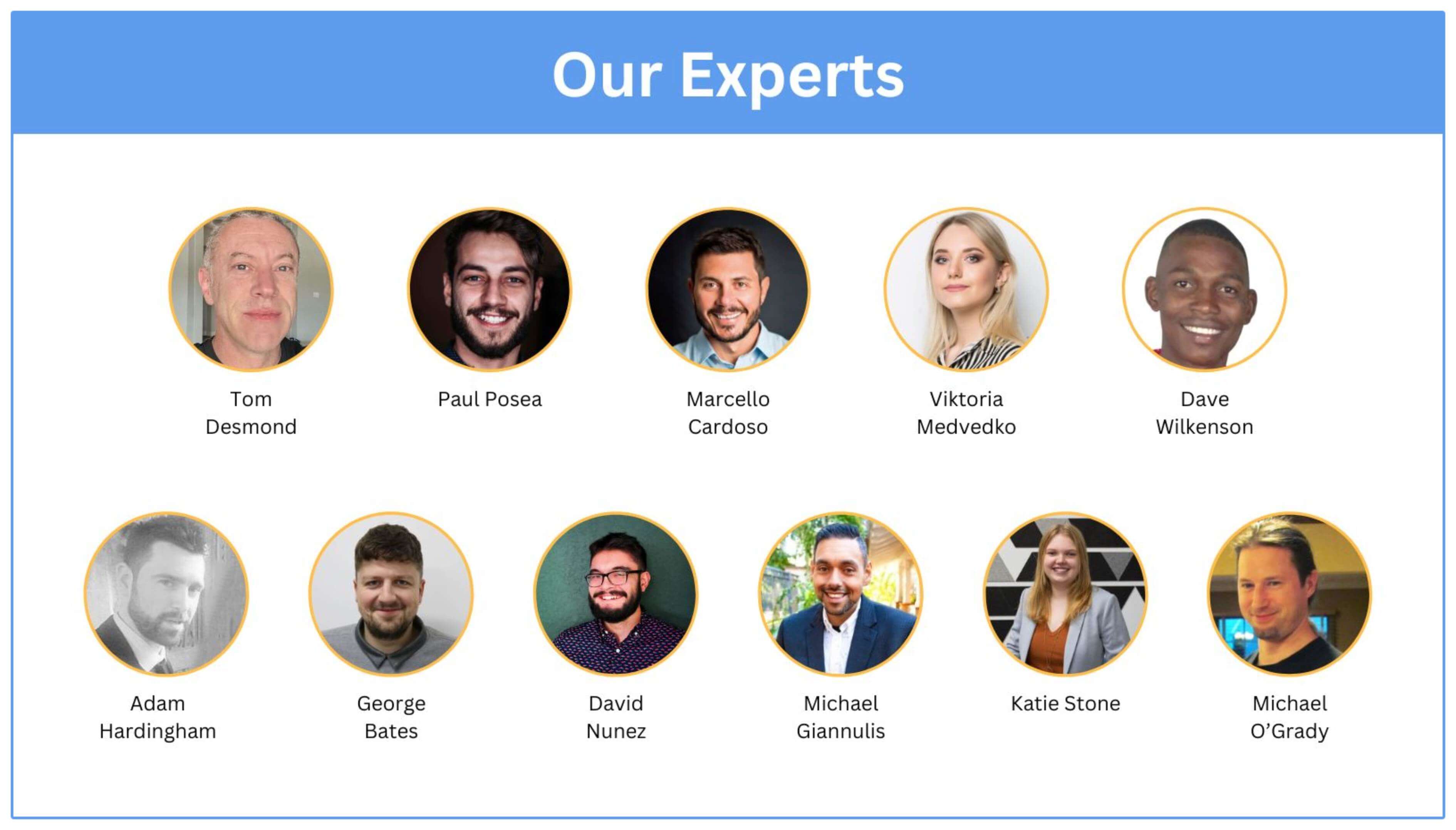 seo mythes experts